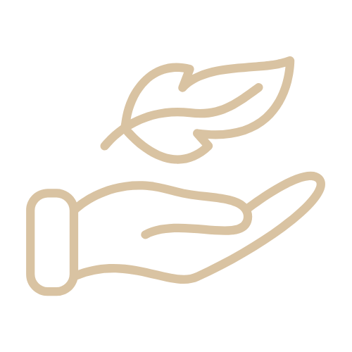 Outline of a hand holding a leaf on a white background